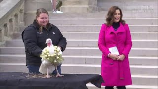 Dolly Pardon the turkey earns reprieve by Michigan governor [upl. by Droffats]