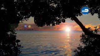 Photo Animation Matheson Hammock Biscayne Bay Sunrise [upl. by Ahsini726]