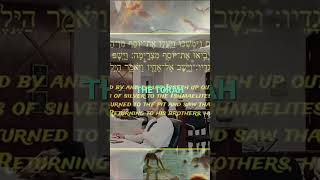 Was Joseph Really Sold by His Brothers passover bible torah pesach exodus [upl. by O'Dell]