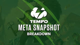 A Paladin and a Mage Walk into the Barrens  Tempo Strategy  Hearthstone Wild Meta Snapshot [upl. by Brink852]