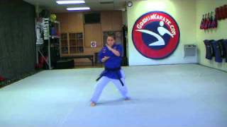 Pinan Nidan  Pinan 2 kata Goshin Karate amp Judo Academy  Scottsdale Arizona [upl. by Airdnaid]