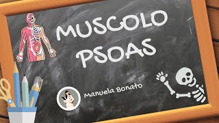 MUSCOLO PSOAS cosa fa e come si allunga [upl. by Nored715]