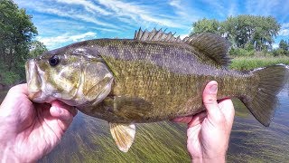 Whopper Plopper Smallies [upl. by Johann81]