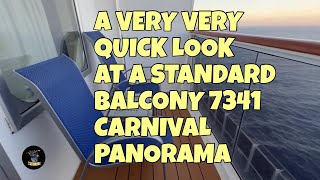 A Very Very Quick Look at a Standard Balcony 7341 Carnival Panorama [upl. by Anauj983]