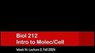 CSULB Biol 212 Fall 2024  Week 14 Lecture 2 [upl. by Ahtel]