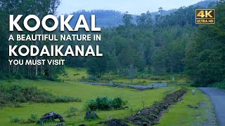 Kookal  Kodaikanal  Drive to a Beautiful Forest amp Nature  Vlog63 [upl. by Emirej]