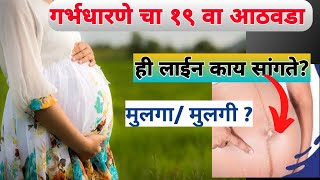 गर्भधारणे चा १९ वा आठवडा19 week of pregnancy  pregnancy week by week [upl. by Meyeroff]