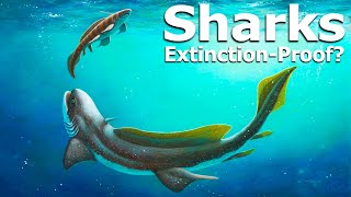 How Did Sharks Survive So Many Mass Extinctions [upl. by Pillsbury]