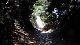 Hiking in Amorgos Island on our way to the Byzantine Monastery of Agios Ioannis Theologos [upl. by Gelhar]