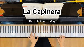 La Capinerain F MajorJ Benedict piano accompaniment [upl. by Chap]