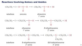 C1L4 B Amines and Amides [upl. by Jenei]