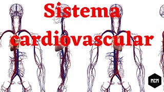 Generalidades del sistema cardiovascular  Medicina con Moore [upl. by Oinotnaesoj]