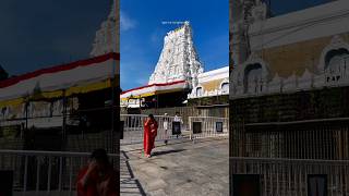 Om Namo Venkateshaya 🙏 tirupati tirumala venkateswara ytshorts viralshort shorts [upl. by Harvard]