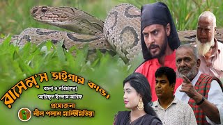 রাসেল্স ভাইপার কান্ড  Russells Viper Kando  New Natok2024  Neel Polash Multimedia [upl. by Llyrat]