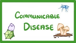 GCSE Biology  Communicable Disease 34 [upl. by Philan]