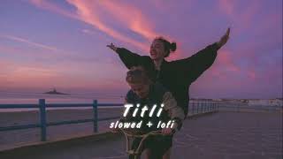 Titli slowed lofi song 🥰 [upl. by Dnomsed]