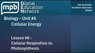 MPB Biology Unit 5 Lesson 8 Cellular Respiration vs Photosynthesis [upl. by Violeta]