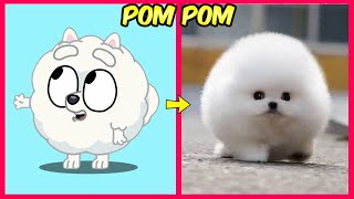 Pet Cartoon Characters 😱 Real Life [upl. by Harleigh]