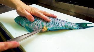 Blue Toxic Parrot Fish Sashimi  Japanese Street Food in Okinawa [upl. by Ben]