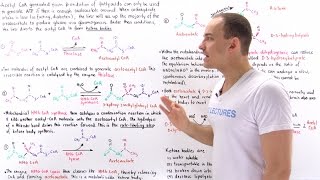 Claisen CondensationPreparation Of Ethyl AcetoacetateOrganic Synthesis Via Enolate [upl. by Aleicarg]