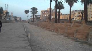 The Avenue of the Sphinxes Luxor Temple [upl. by Inafit]