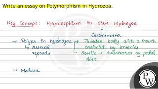 Write an essay on Polymorphism in Hydrozoa [upl. by Rainer]