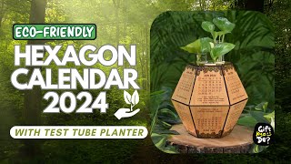 Eco Friendly Calendar for 2024 with Test Tube Planter  Wooden Hexagon Calendar 2024 [upl. by Ailemac846]