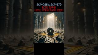 SCP055ampSCP579 quot동그란 말뚝을 네모난 구멍에 끼우지 못한다quot [upl. by Rahab]