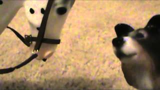 Dog Days Ep 3 Breyer Horse DOG video [upl. by Lauren]