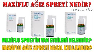 Maxiflu Ağız Spreyi Nedir Maxiflu Spreyin Yan Etkileri Nelerdir Maxiflu Sprey Nasıl Kullanılır [upl. by Maurits]