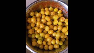 Phyllanthus acidus Amla harvesting short videoAmla fruit 🤤😋 [upl. by Farr]