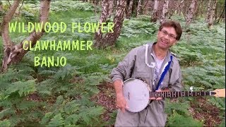 Wildwood Flower  Clawhammer Banjo [upl. by Tengler]