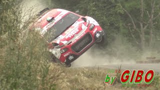 52° San Marino Rally 2024 [upl. by Karole817]