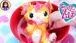 Wash the Dirty Ball and find a Llama Kitten or Puppy Pet Colourful Scruff A Luvs [upl. by Dreeda148]