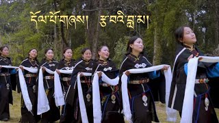 Dolpo Song  Tsawai Lama  Culture Dance  nepal himalayas dolpo culture urbgd entertainment [upl. by Yelroc381]