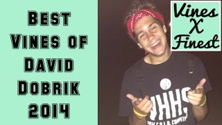 Best Vines of David Dobrik 2014 Compilation [upl. by Sissie]