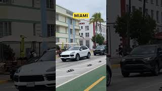 Miami Beach miamibeach miami beach florida travelvlog [upl. by Vashtee]