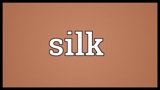 Silk Meaning [upl. by Ahsirahc]