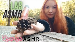 ASMR Po Polsku W LESIE [upl. by Enois]