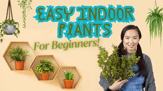 quotThe Easiest Indoor Plants For Beginners No StressJust GreenaryquotEasy I Tips l Home decor I Facts [upl. by Lotte]