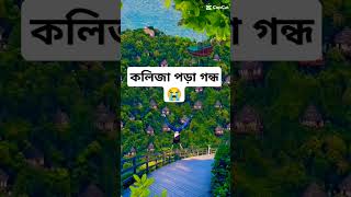 Kolijata pora new song caption update shuts video subscribe now love newsong sad song new sads [upl. by Tonry]