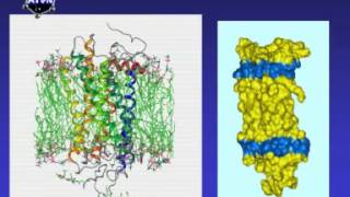 RODOPSYNA Receptory GPCR opioidowe [upl. by Ham]