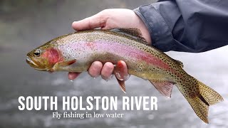 Fly fishing in low water South Holston River [upl. by Nahem530]