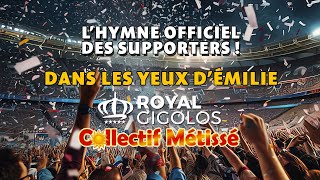 ROYAL GIGOLOS Remix DANS LES YEUX DÉMILIE LYRIC Clip de LHYMNE des SUPPORTERS Collectif Métissé [upl. by Nira]