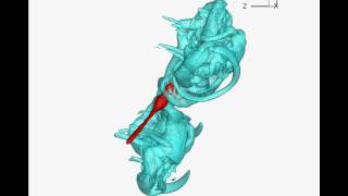 Tecplot 360 Simulation Example Dragonfly Flight Physics I [upl. by Nitsa]