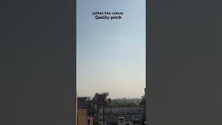 batao kaisa laga petch shortvideoviraltrendingkitecultureexplorepatangmarketjaipur [upl. by Leumhs514]