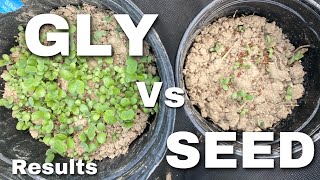 Glyphosate vs Seed Germination Results [upl. by Inglis]