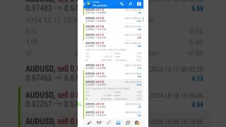 The quotbest Sellingquot Forex Robot ToborFX Live video proof of profits [upl. by Thera]