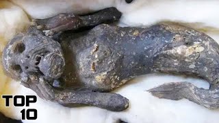 Top 10 Terrifying Creatures Discovered In The Mariana Trench [upl. by Lledroc251]