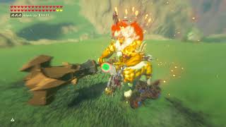 BOTW Gold Lynel Fight with Master Cycle [upl. by Alby489]